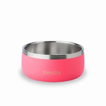 Owala 3 Cups Pet Bowl Pink Canada | XTUVW-0725